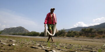 A Strong El Niño Could Be Coming. Countries Are Already Preparing.