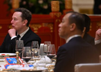 From Tesla to Visa, C.E.O.s on Trump’s China Trip Sought Relief