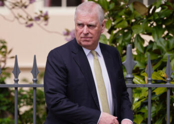 How Did the Former Prince Andrew Get an Envoy Job, Anyway?