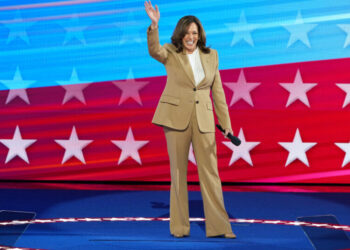 D.N.C. 2024 Election Autopsy Reopens Wounds of Harris Loss