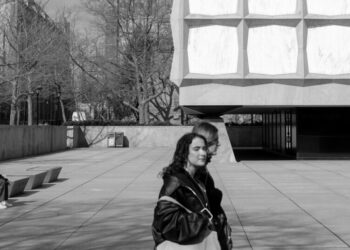 What Is Higher Education For?