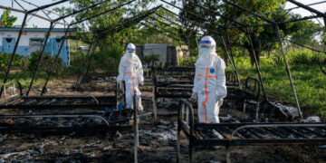 Ebola Ward in Congo Burns After Residents Turn Against Medics