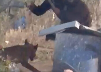 In West Bank, Latest Victim of Israeli Settler Violence Shocks in a New Way