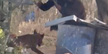 In West Bank, Latest Victim of Israeli Settler Violence Shocks in a New Way