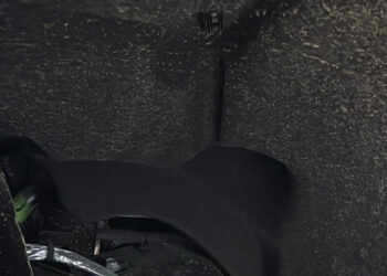 A Ford Truck, Home to Newborn Robins, Is Stuck at a Kansas Car Dealer