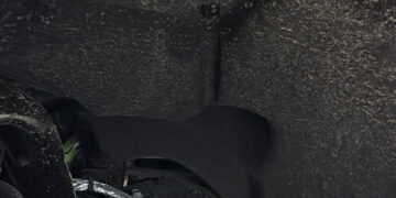 A Ford Truck, Home to Newborn Robins, Is Stuck at a Kansas Car Dealer