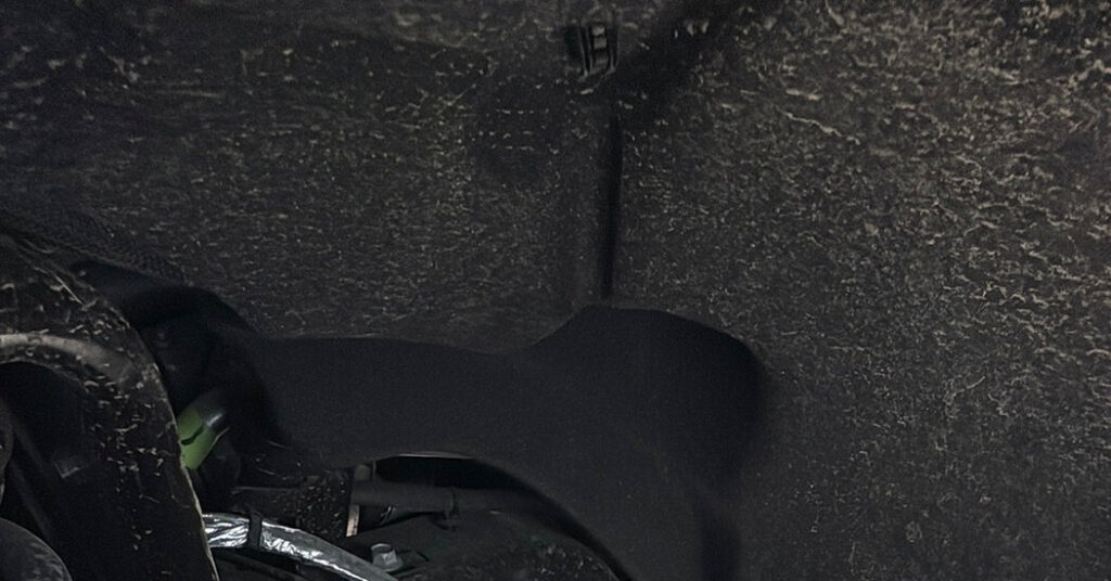 A Ford Truck, Home to Newborn Robins, Is Stuck at a Kansas Car Dealer