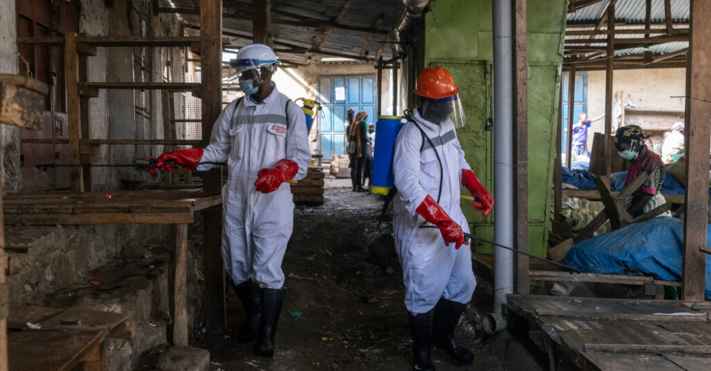 Caught Flat-Footed, a City Races to Catch Up With Ebola