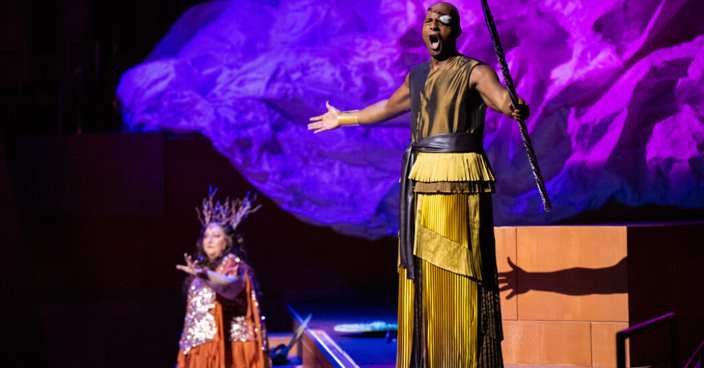 A Future Star of the Met Opera’s ‘Ring’ Tries Out His Role