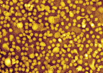 One-and-Done Heart Disease Prevention? Scientists Show It May Be Possible.