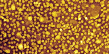 One-and-Done Heart Disease Prevention? Scientists Show It May Be Possible.