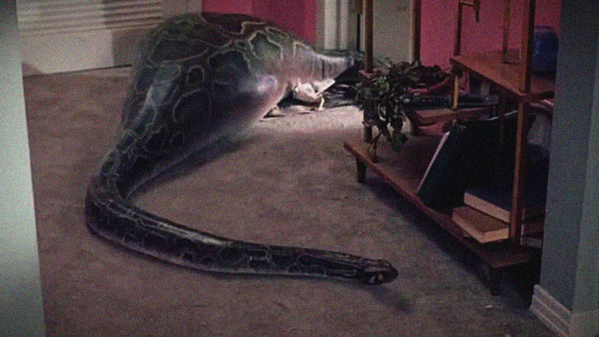 26 Years Ago, ‘There’s Something About Mary’ Cut a Scene Where One Character Got Eaten by a Python