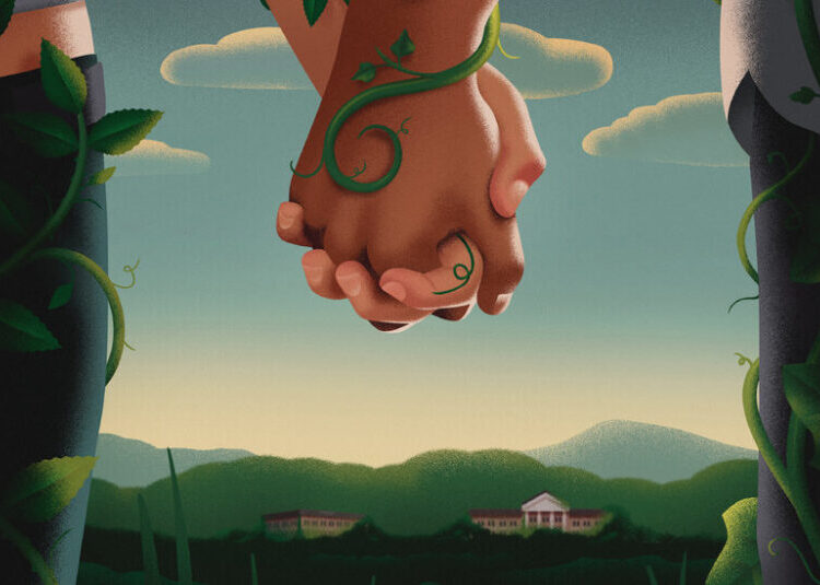 A Campus Novel That Dwells on Controversy but Spares the Details