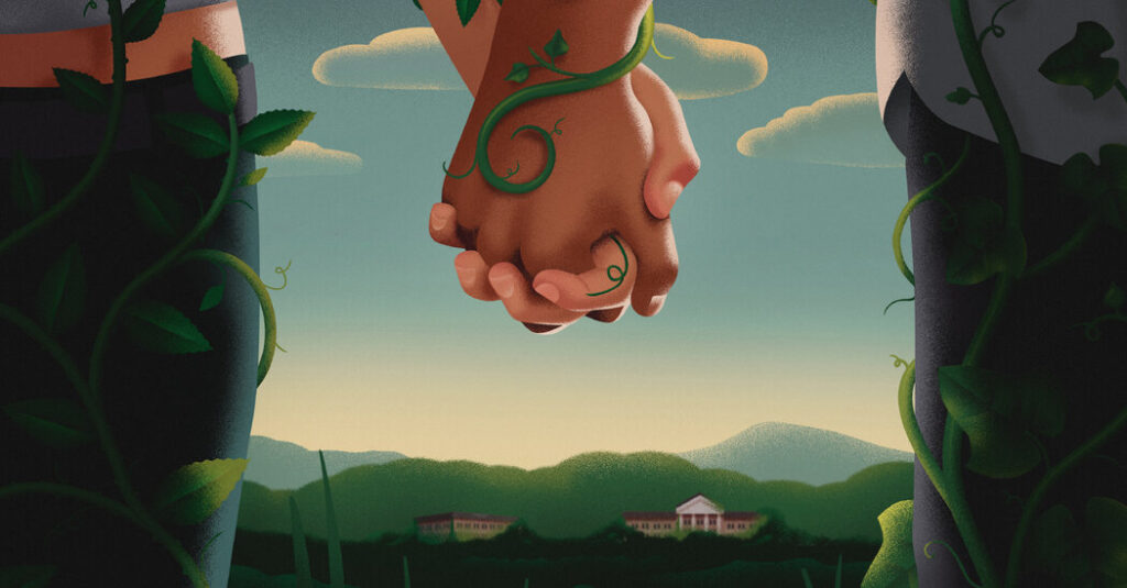 A Campus Novel That Dwells on Controversy but Spares the Details
