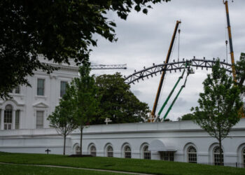 U.F.C. Fight Venue Takes Shape on the White House Lawn