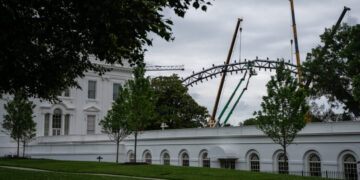 U.F.C. Fight Venue Takes Shape on the White House Lawn