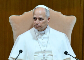 To Understand Pope Leo’s Efforts on A.I., Look at the Man 3 Seats Away