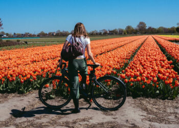By Boat and Bike, Losing Yourself in Dutch Tulip Country