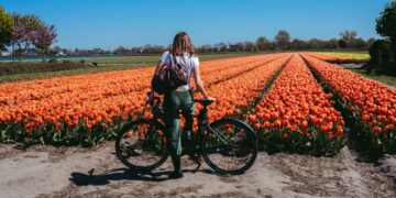 By Boat and Bike, Losing Yourself in Dutch Tulip Country