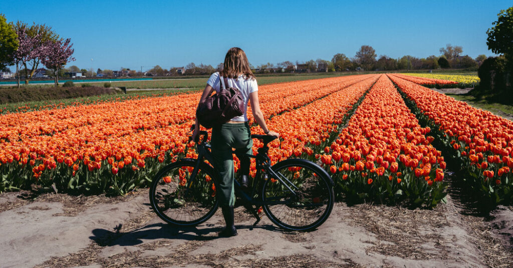 By Boat and Bike, Losing Yourself in Dutch Tulip Country