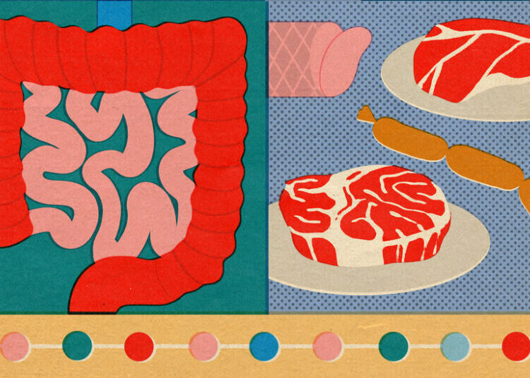 5 Health Risks From Consuming Too Much Protein