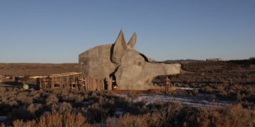 For Rent: A One-Bedroom Coyote House