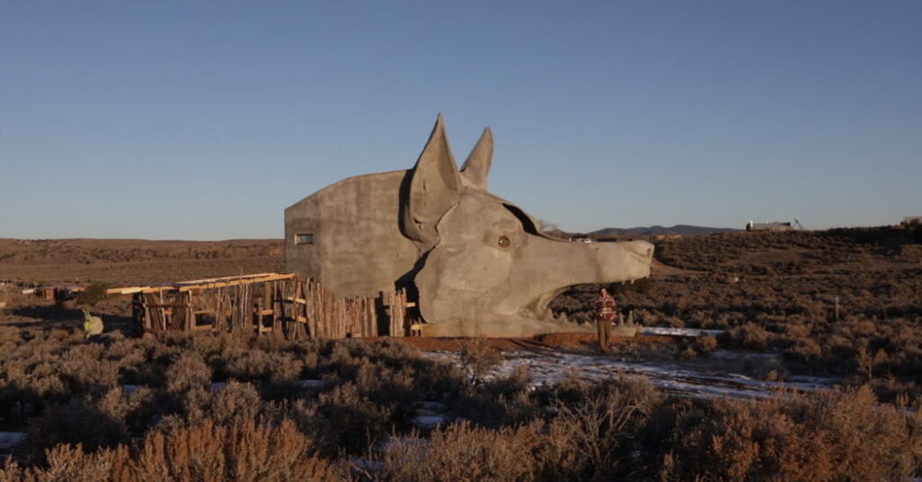 For Rent: A One-Bedroom Coyote House