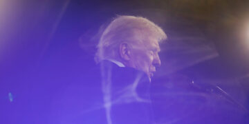 ‘Up for Grabs’: Can Democrats Sway Young Men Who Have Soured on Trump?