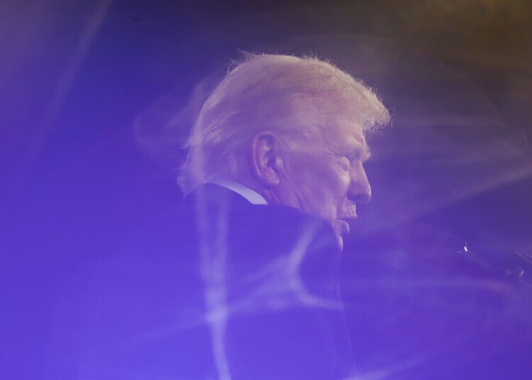 ‘Up for Grabs’: Can Democrats Sway Young Men Who Have Soured on Trump?