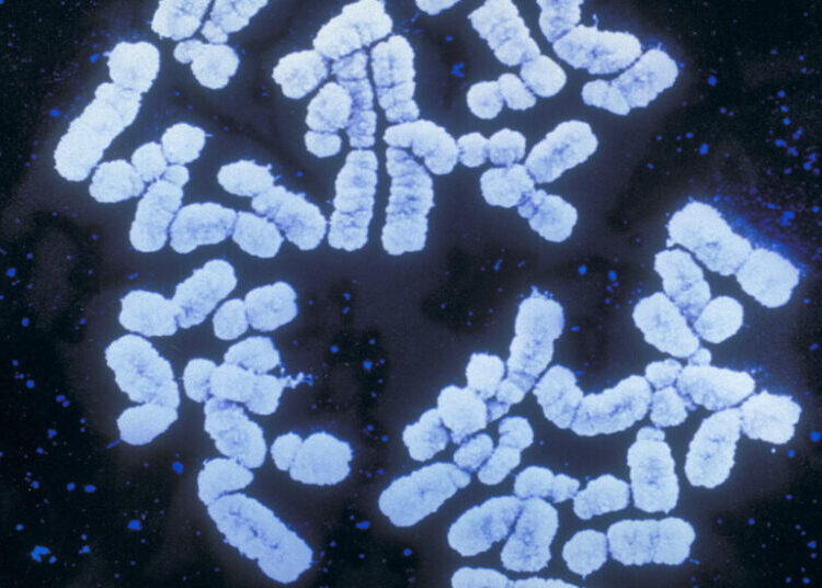What Happens When Your Employer Knows the Diseases You Might Get?