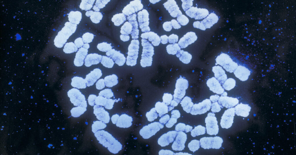 What Happens When Your Employer Knows the Diseases You Might Get?