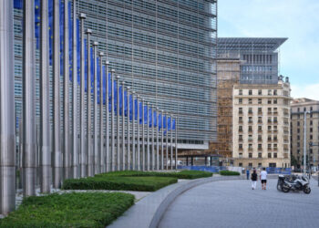 Temu Hit With Fine in E.U. Over Sales of Unsafe Goods