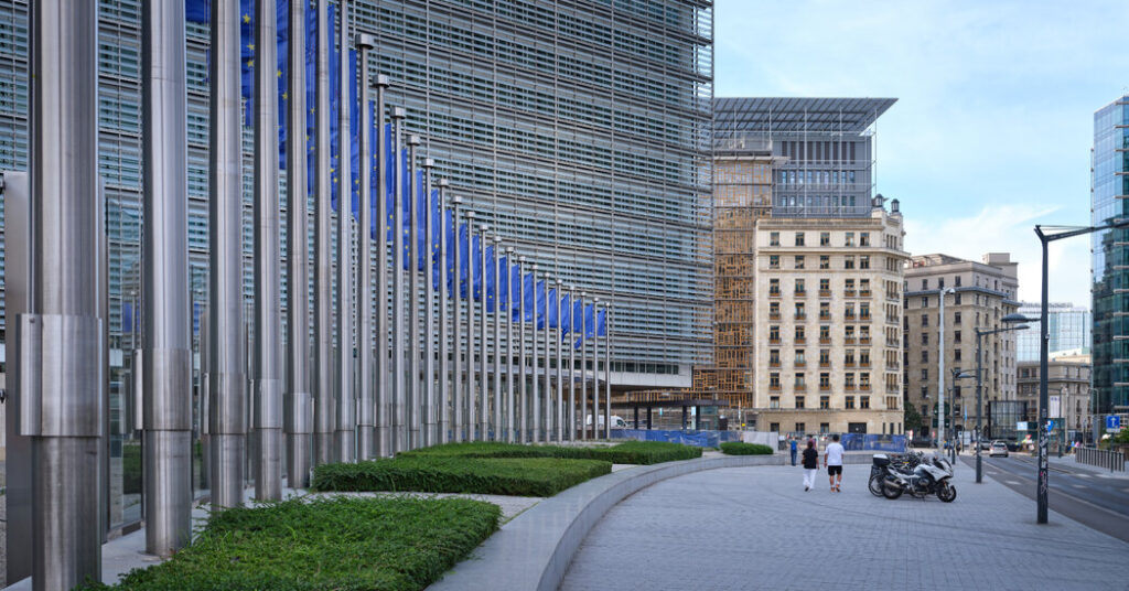 Temu Hit With Fine in E.U. Over Sales of Unsafe Goods