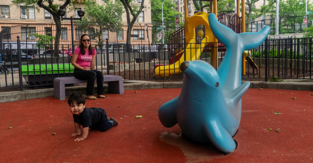 These Parents Wanted Their Children’s Park Back. They Finally Got It.