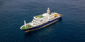 How Bad Is Hantavirus, the Illness That’s Killed 3 Cruise Ship Passengers?