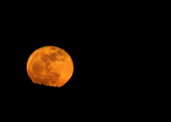The Blue Moon Is Back, and It’s Micro