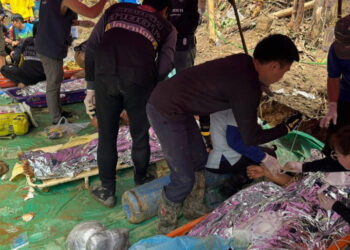 Five Miners Are Rescued After Week Trapped in Flooded Laos Cave