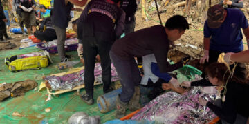 Five Miners Are Rescued After Week Trapped in Flooded Laos Cave