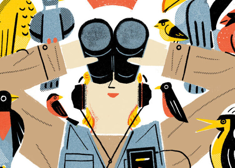 7 Podcasts About the Joys of Bird-Watching
