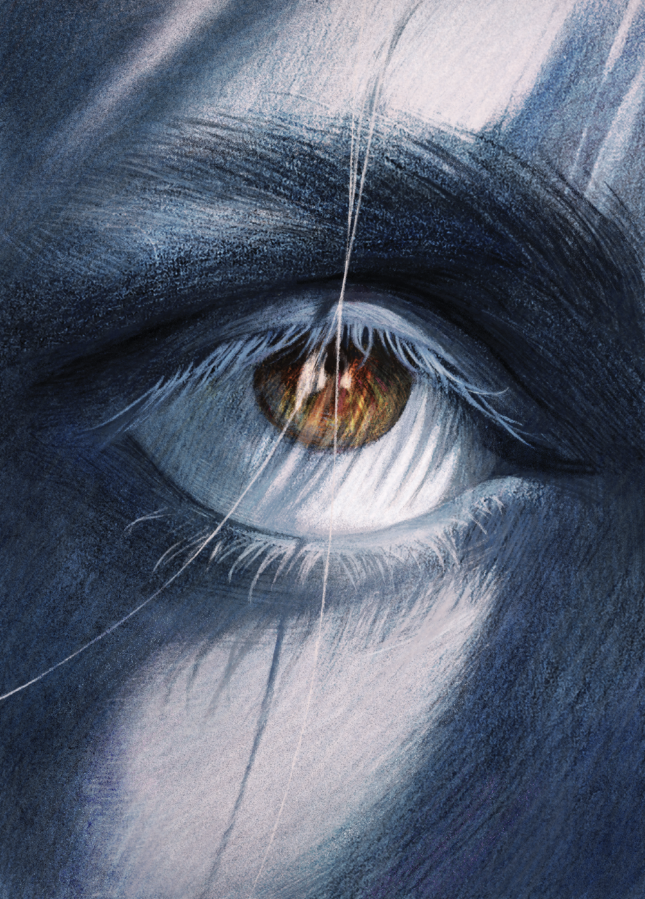 illustration of detail of face with eyebrow and eye, the iris of the eye turning blood red
