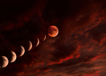 5 Truths the Super New Moon in Taurus Is Illuminating About Your Life, Growth, and Values