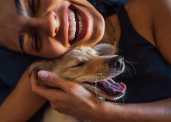 5 Signs Your Dog Feels Safe and Happy With You
