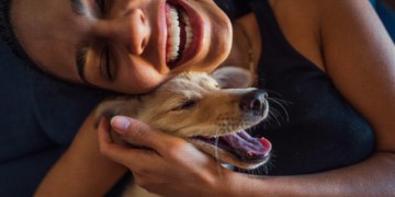 5 Signs Your Dog Feels Safe and Happy With You