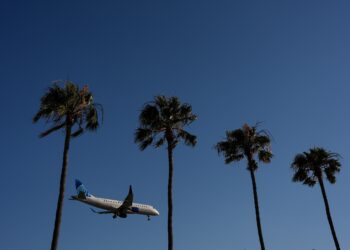 A viral video says booking a flight at a library is cheaper. We investigated.