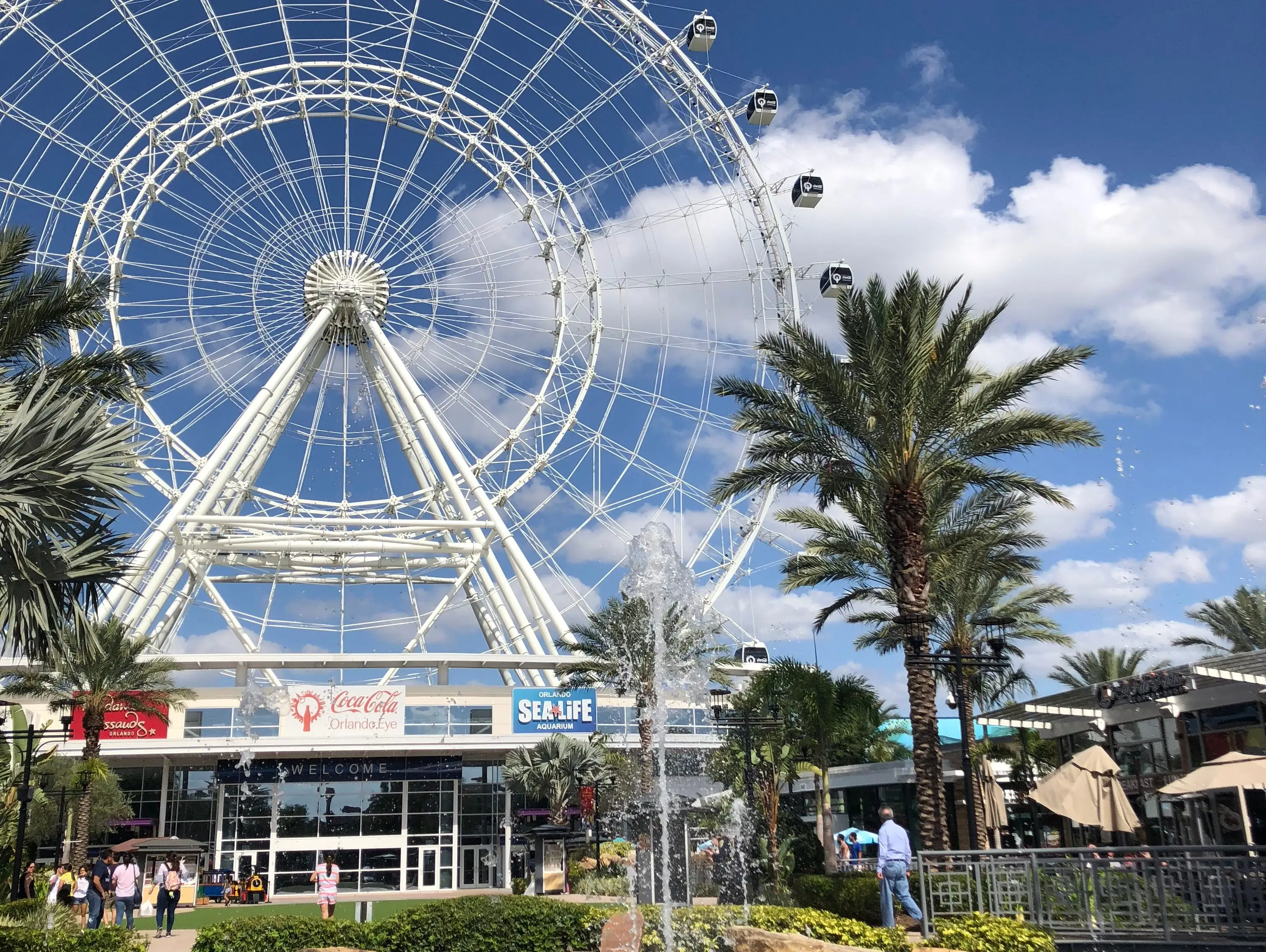 shot of the orlando icon ferris wheel