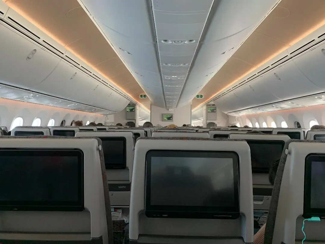 Rows of seats on a plane.