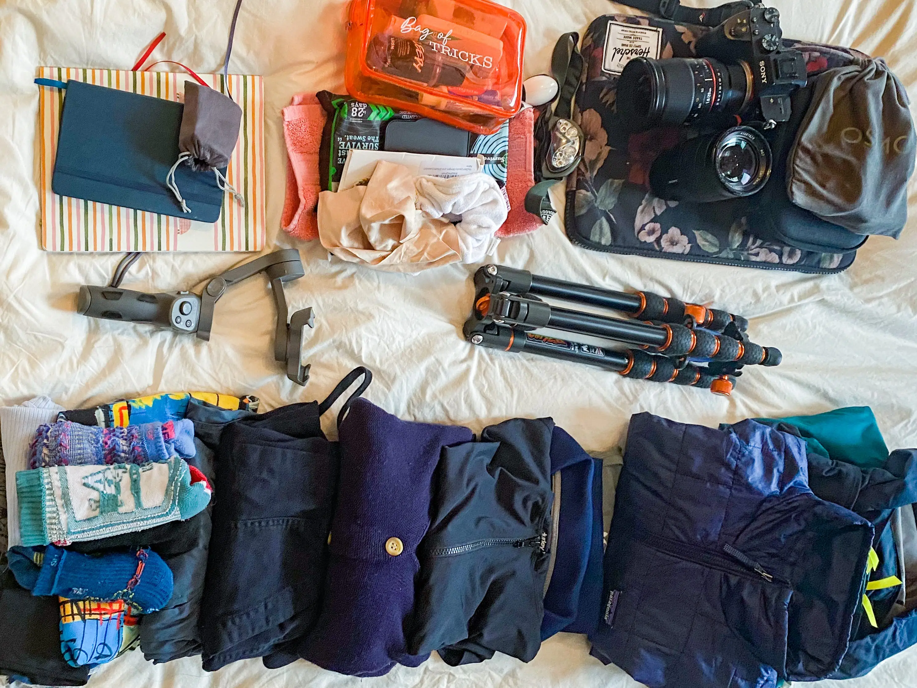 A white sheet behind everything the author packed, The top row shows toiletries, books, and tech gear. The bottom row has A vertical line of folded blue and black clothing