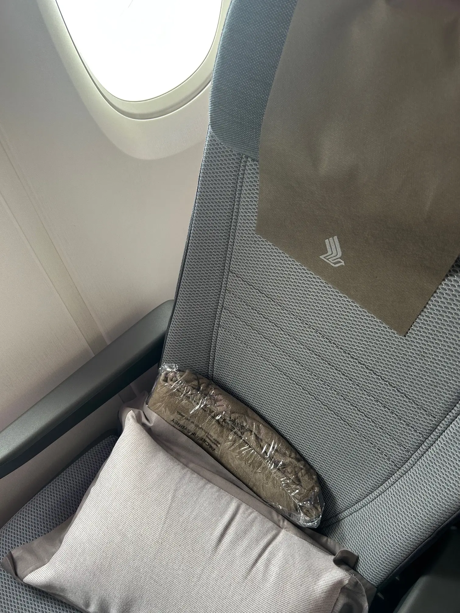 Singapore Airlines seat
