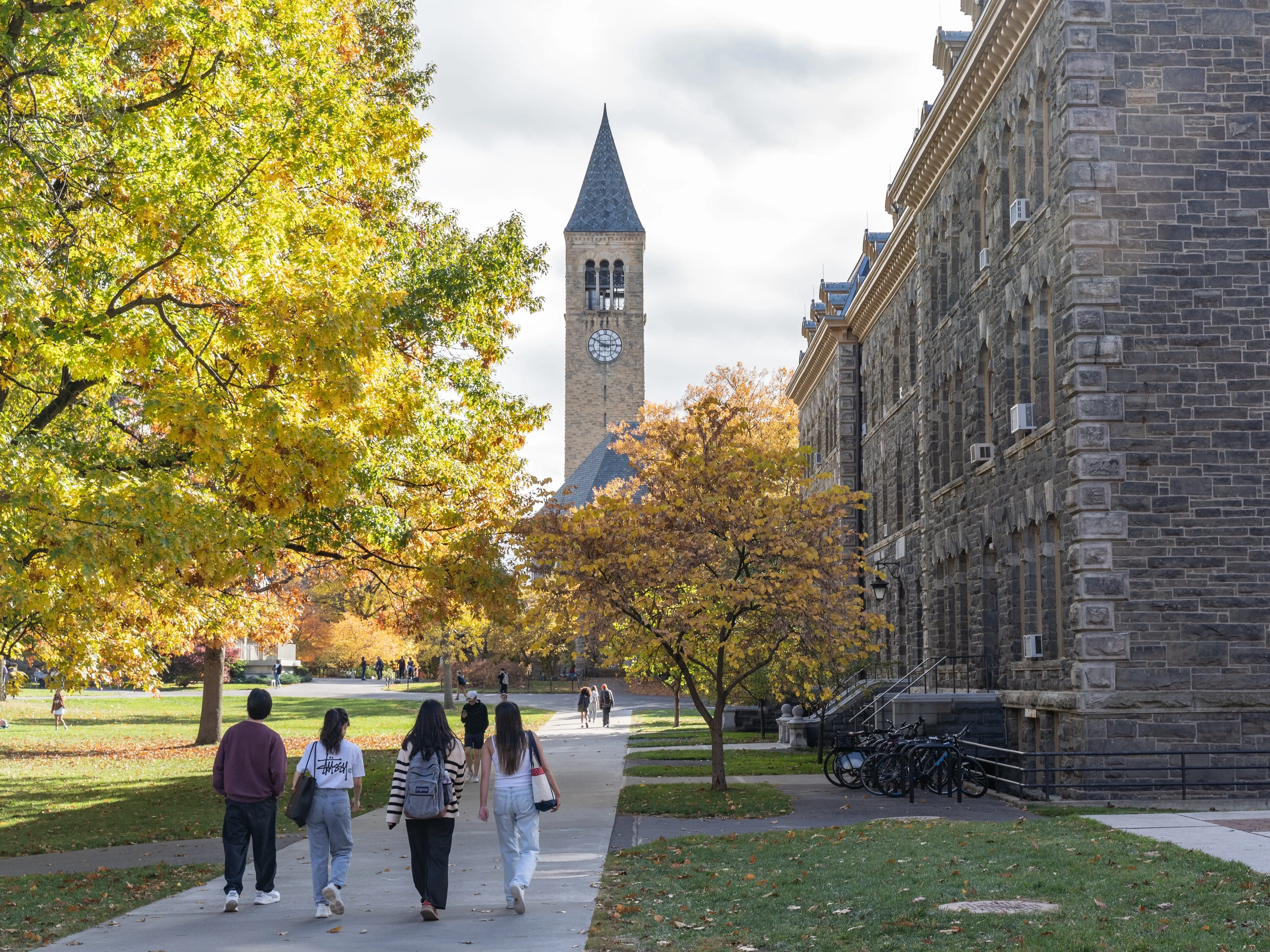 cornell Ithaca, New York