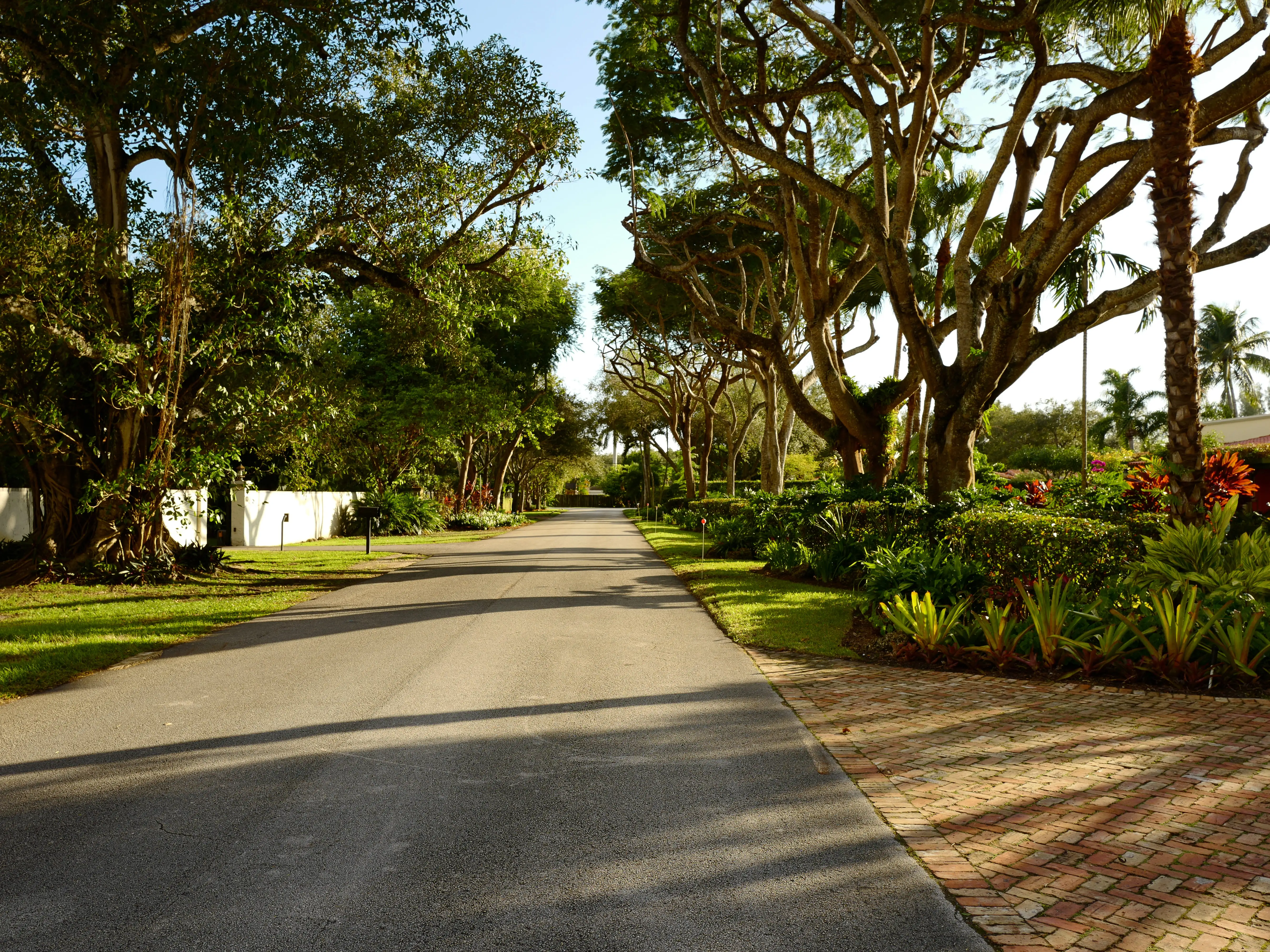 Tree-lined streets in Coconut Grove, Miami